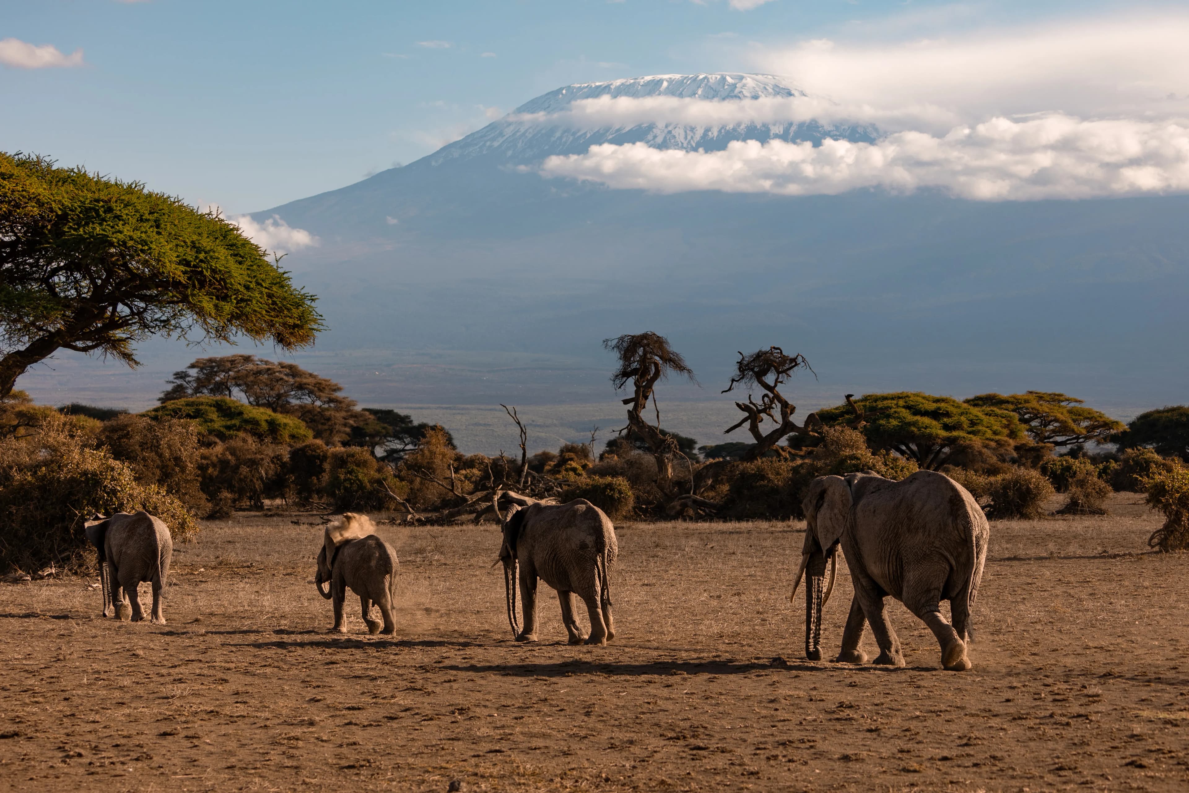 Arusha — photo 100