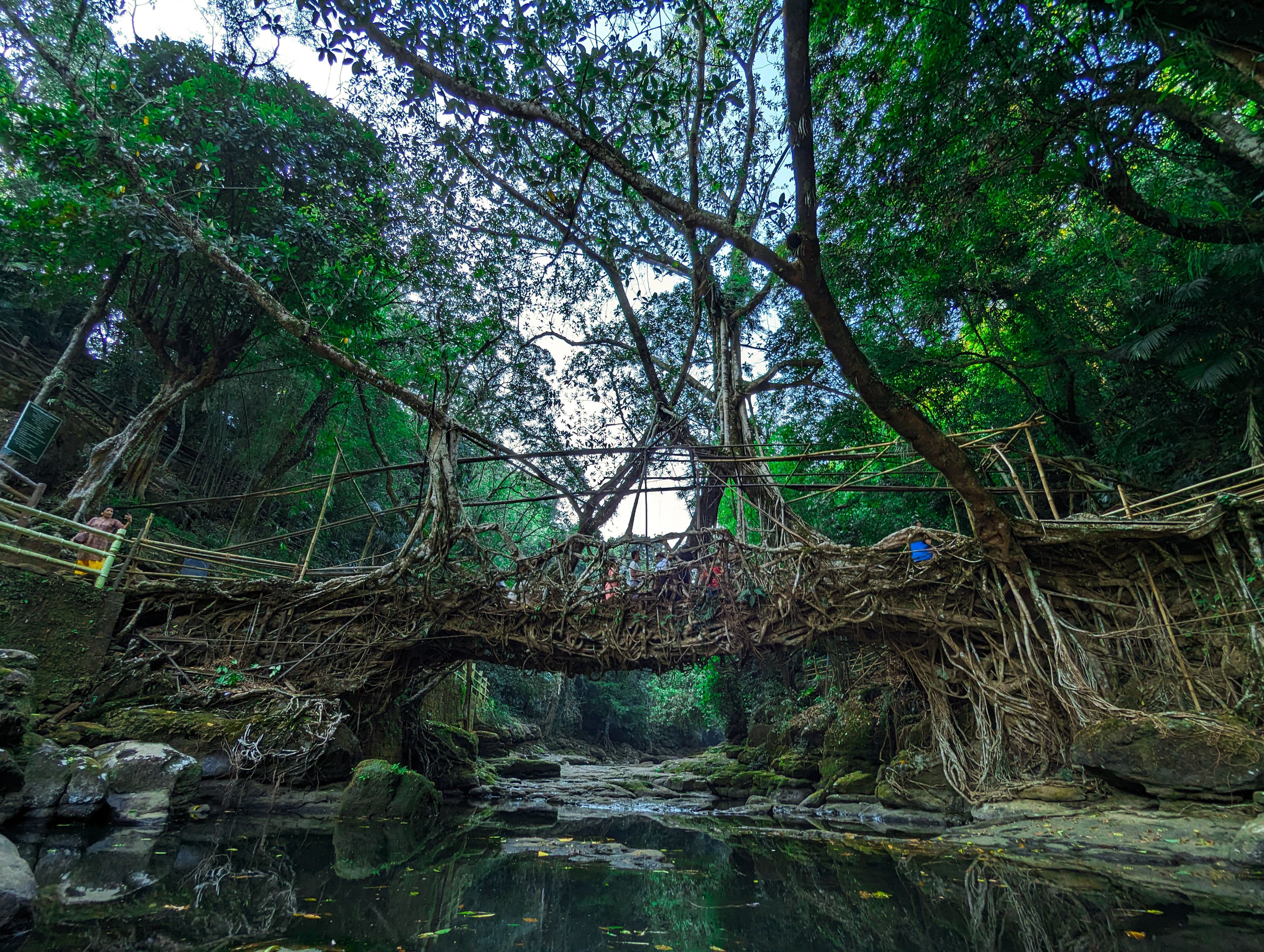 Meghalaya