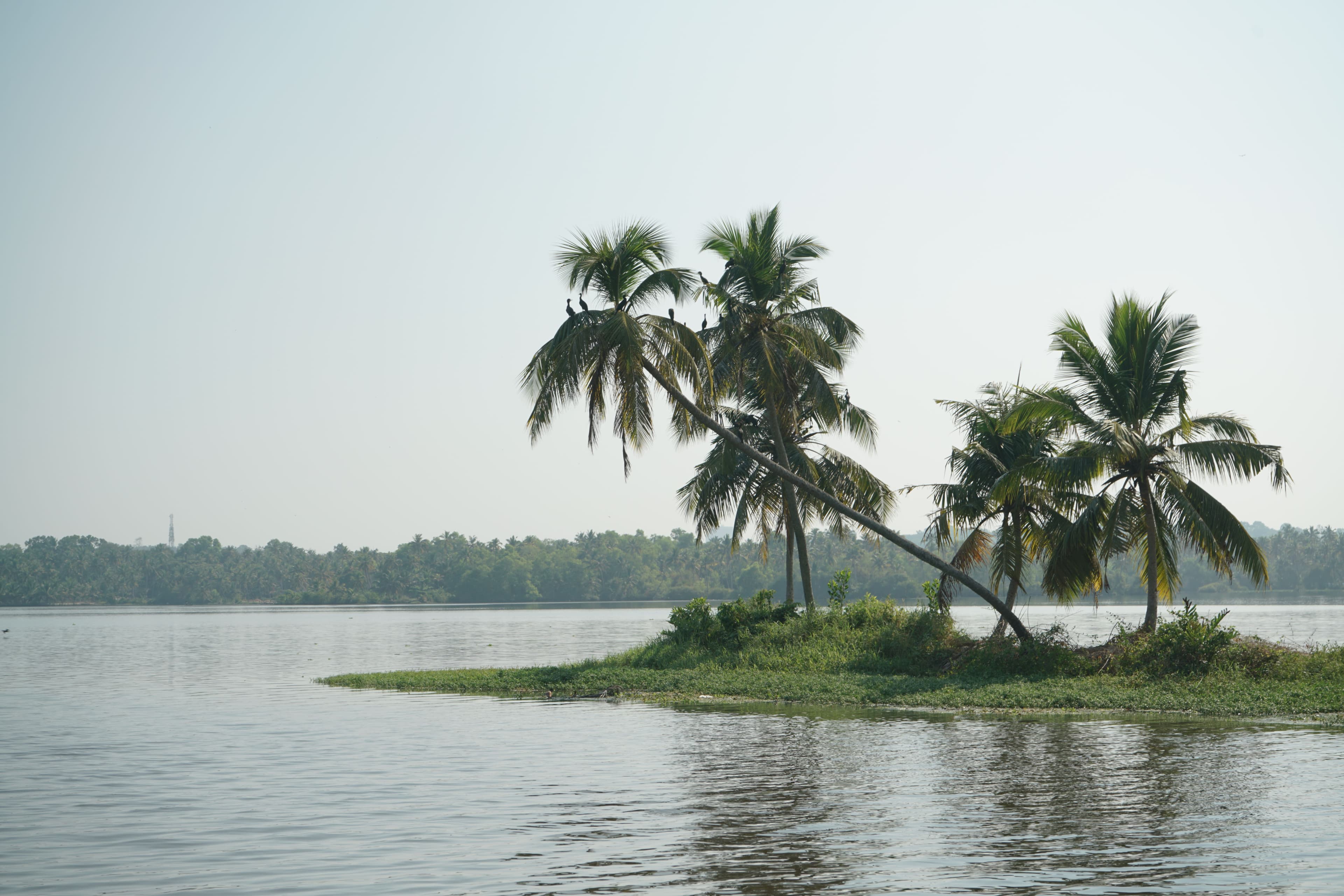 Fort Kochi