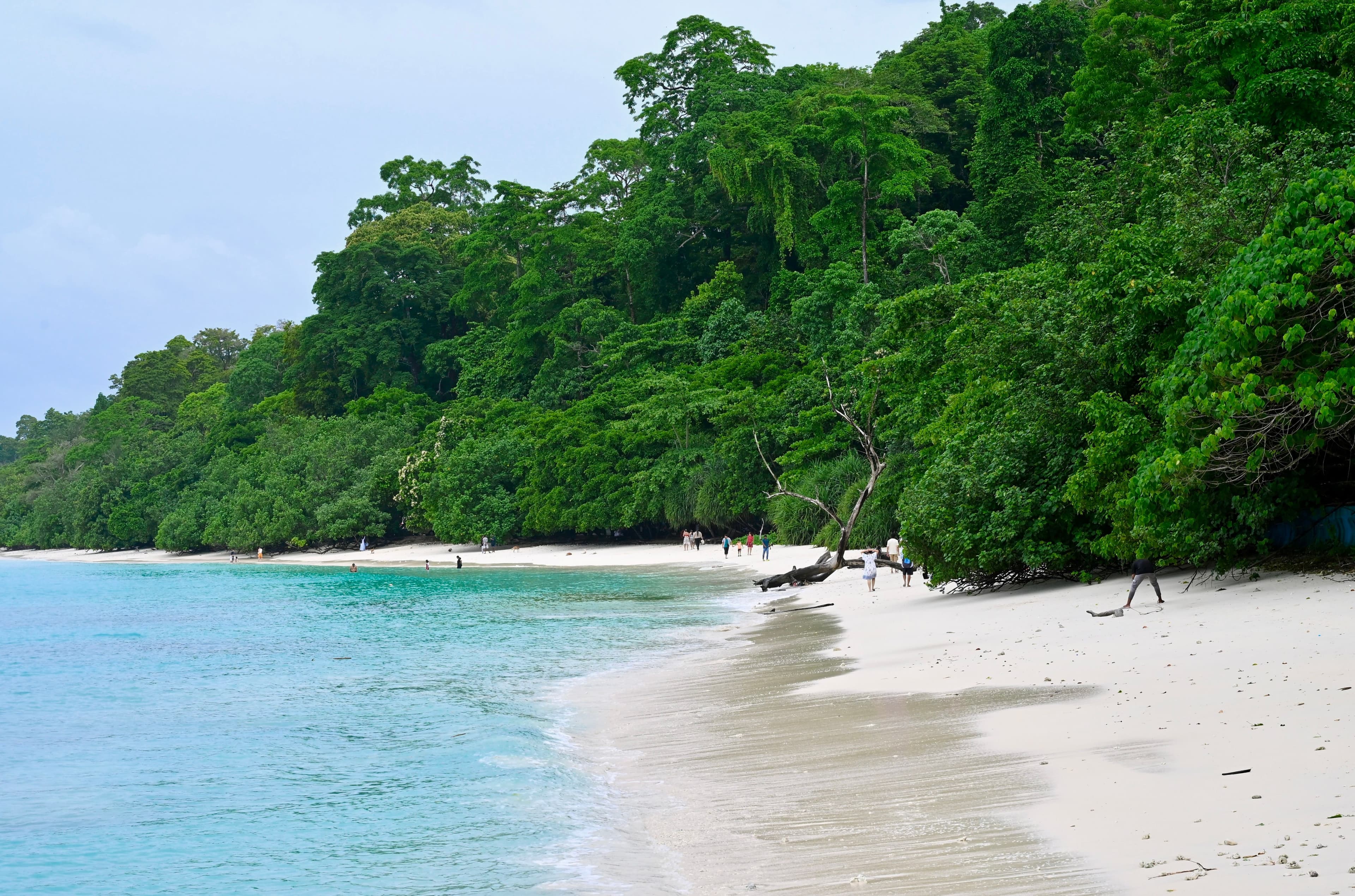 Andaman Islands — photo 2