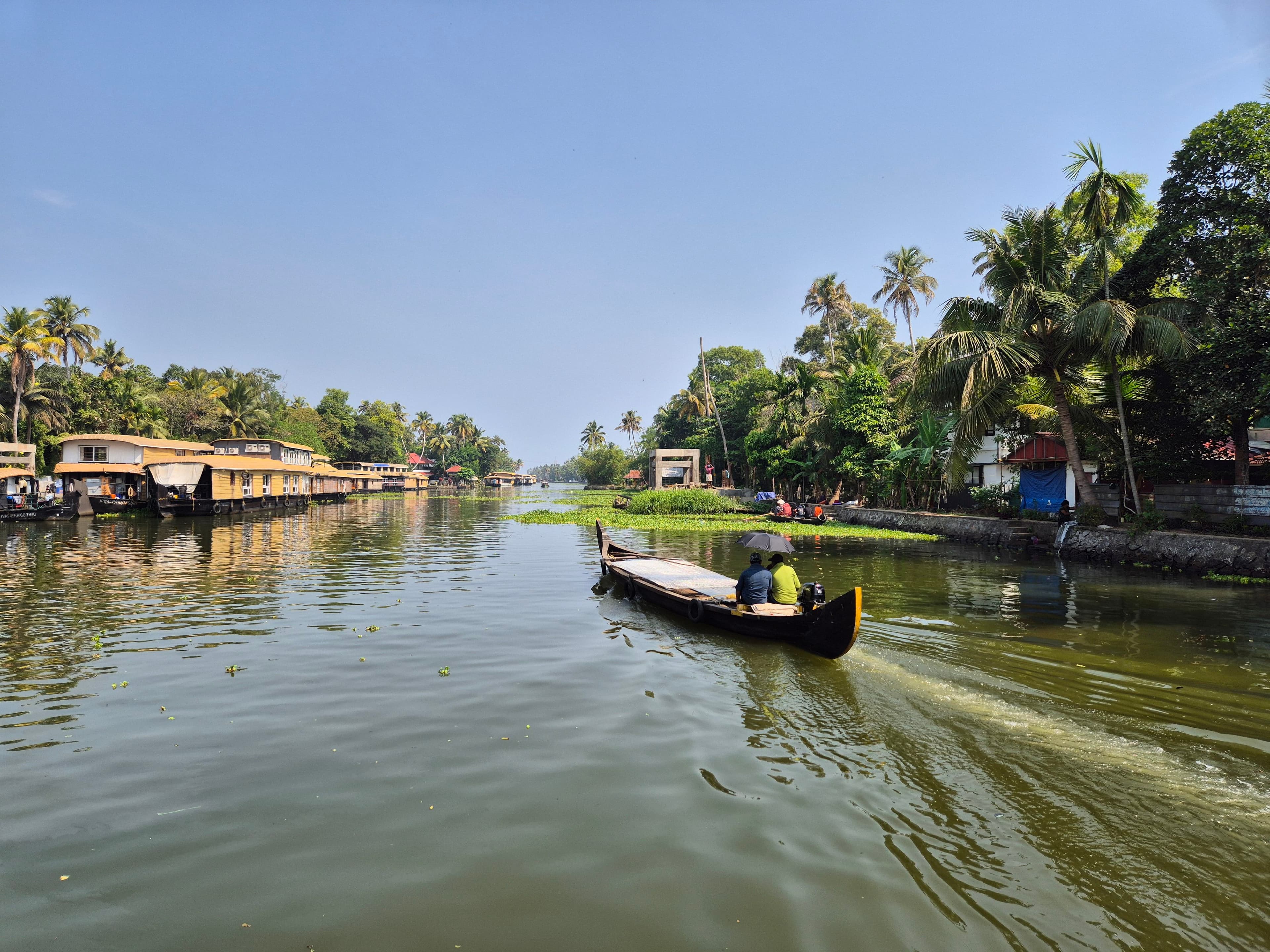Kerala — photo 100