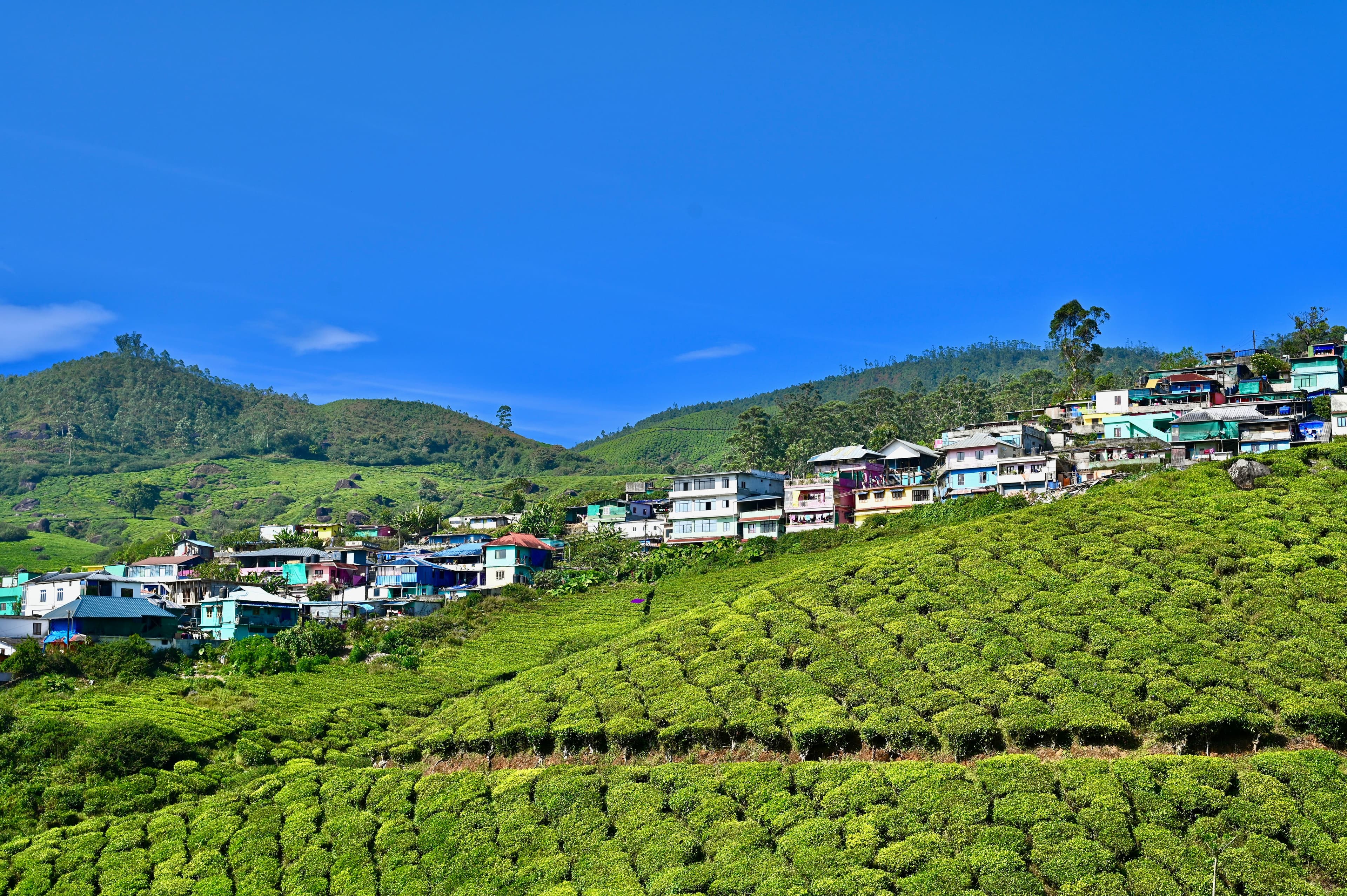 Ooty — photo 100