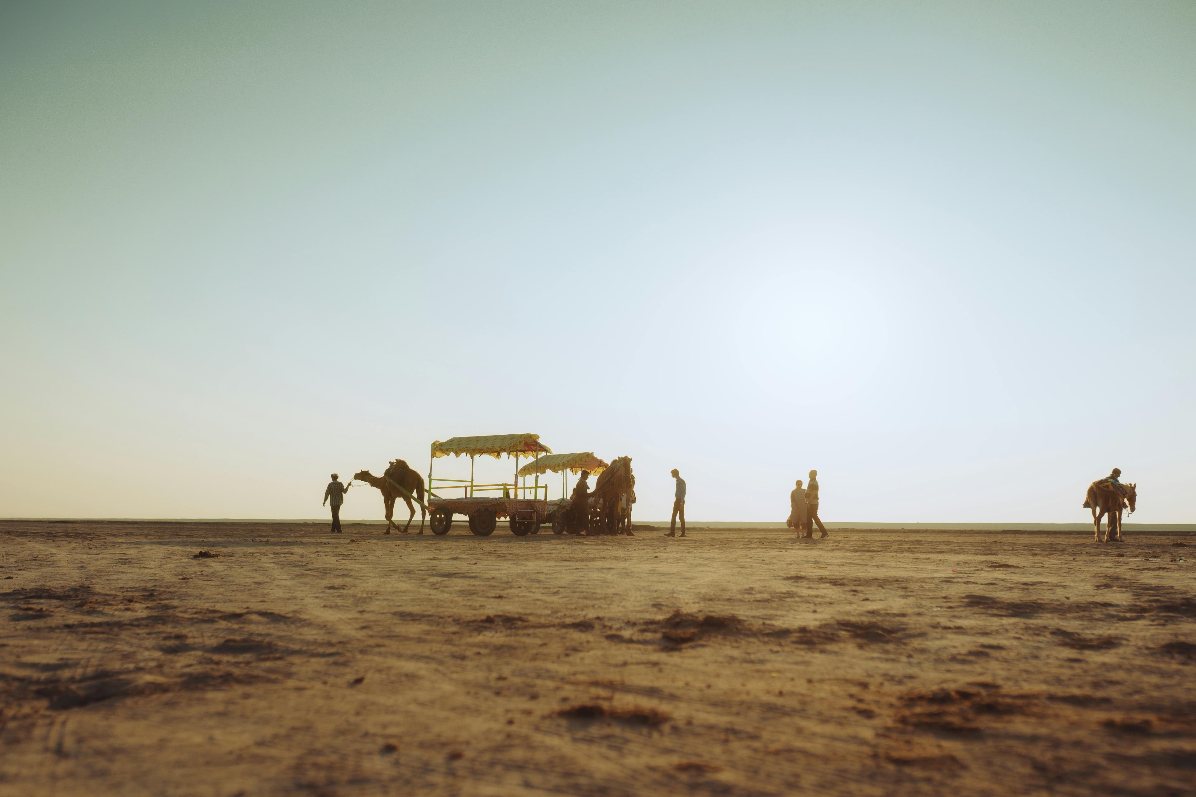 White Rann