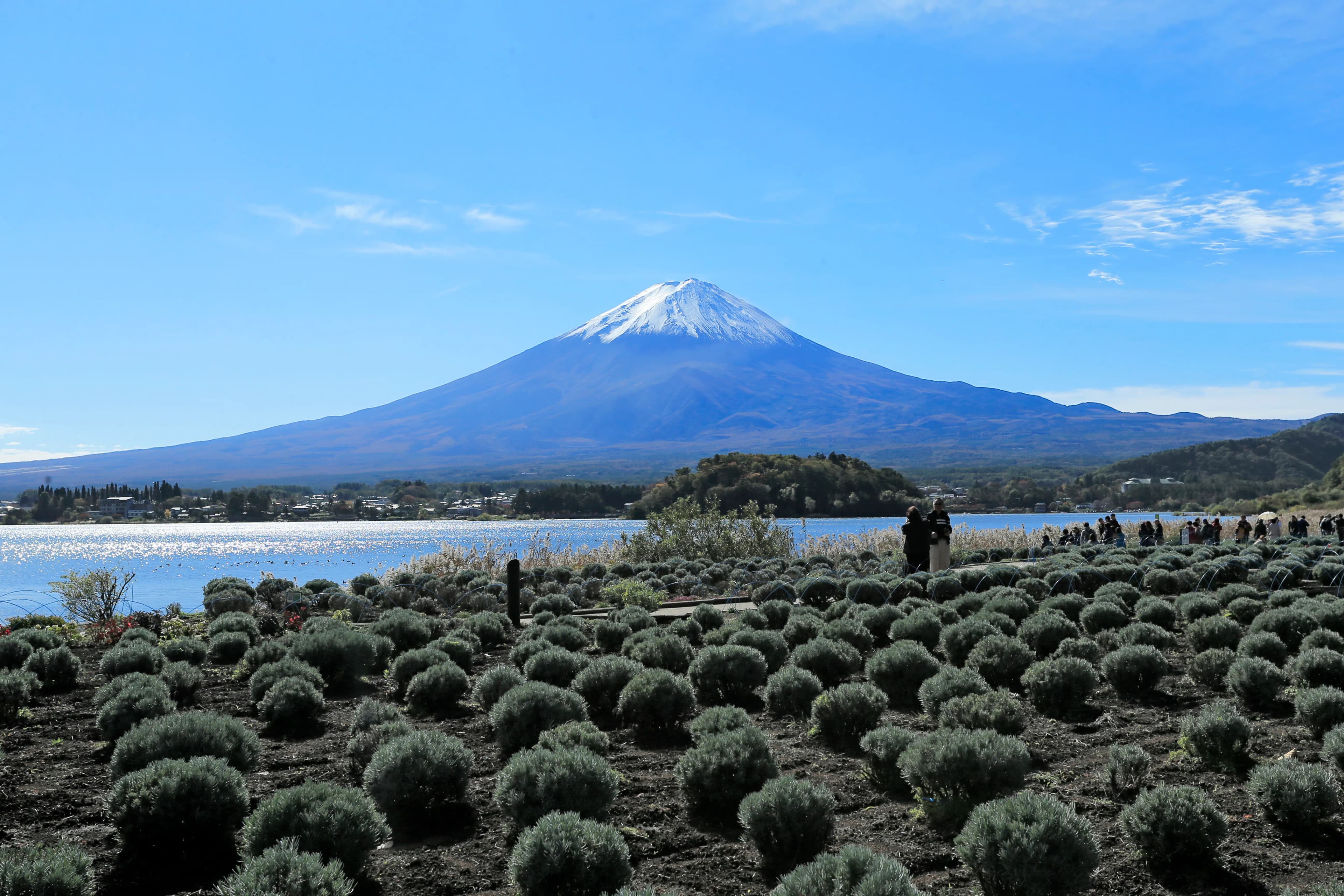 Mount Fuji/Hakone