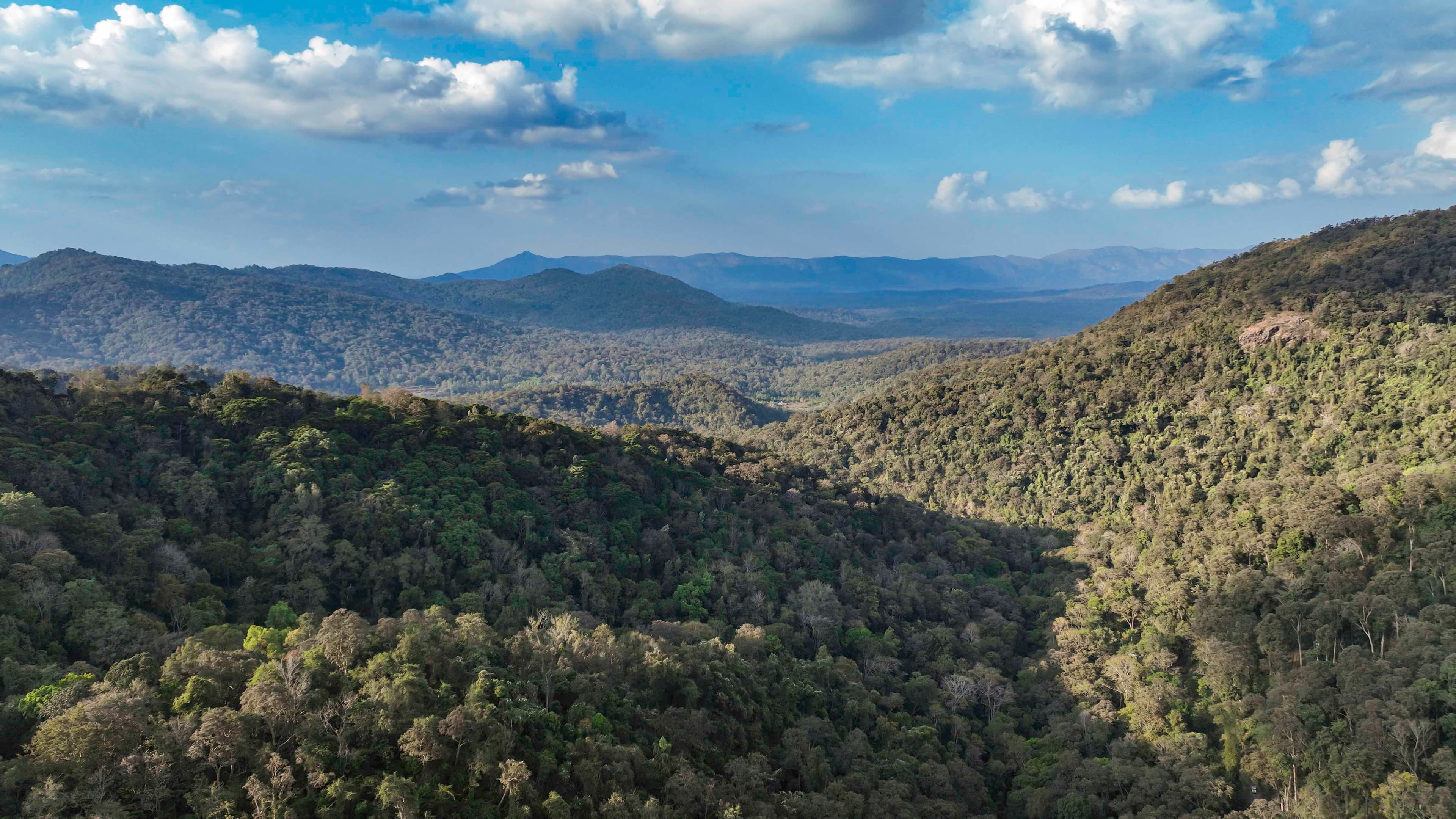 Coorg — photo 100