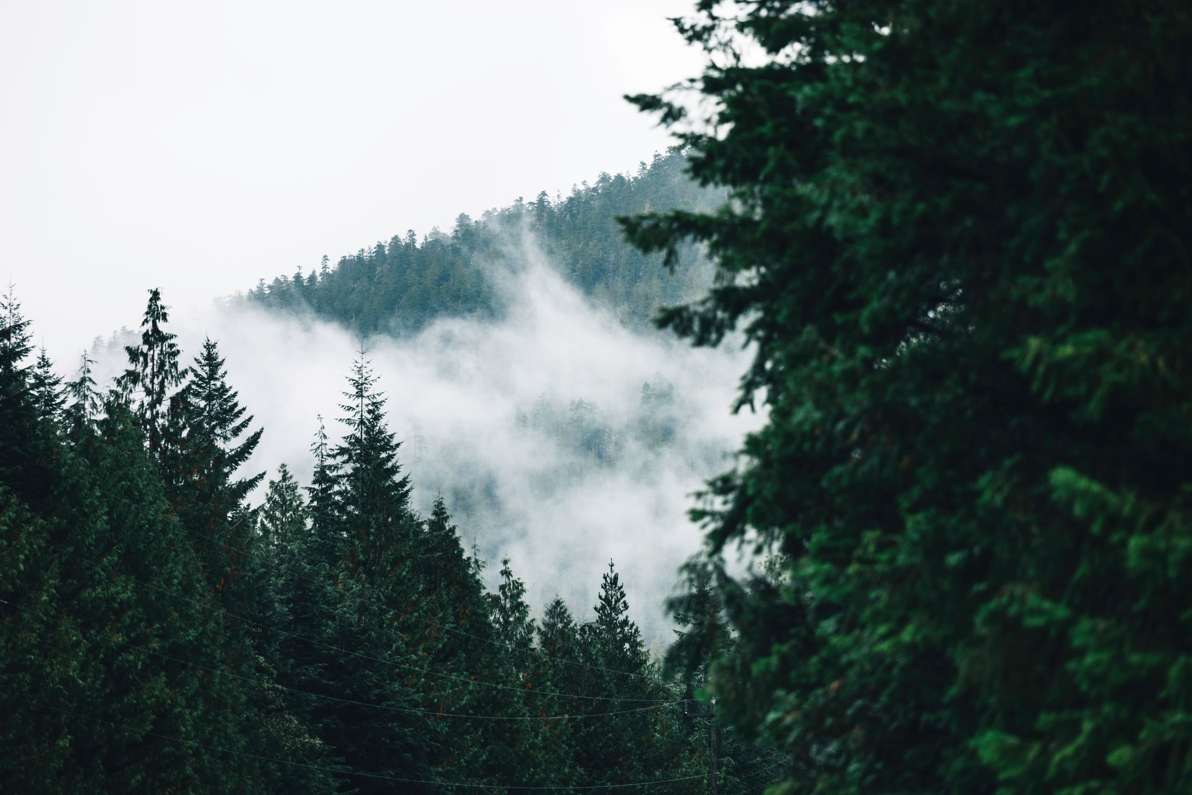 Clayoquot Wilderness Lodge