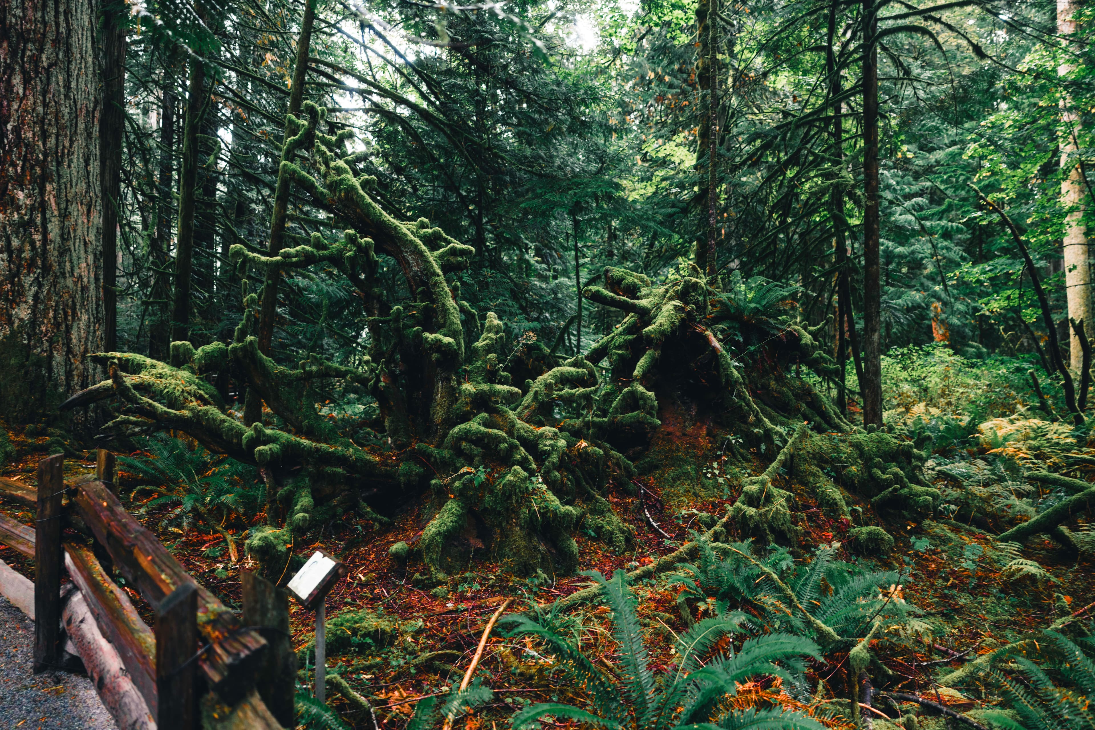 Clayoquot Wilderness Lodge 4