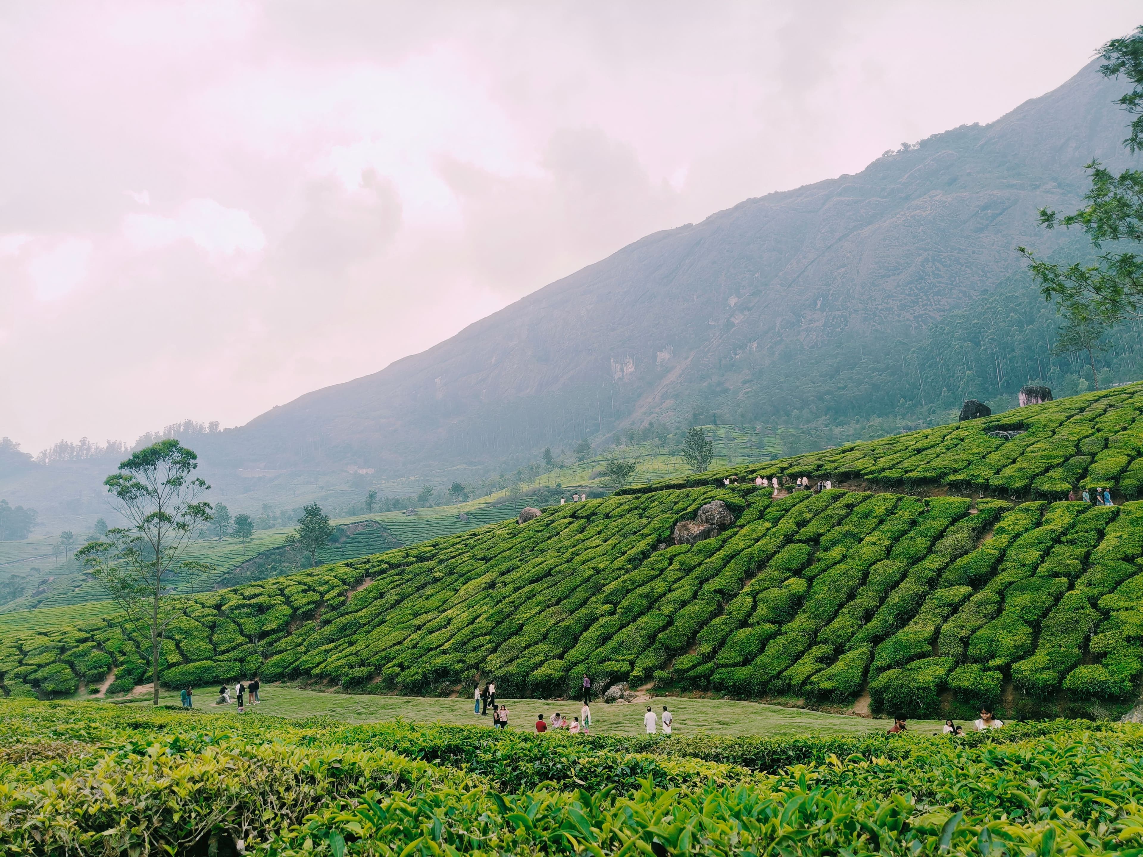 Kannan Devan Tea Museum