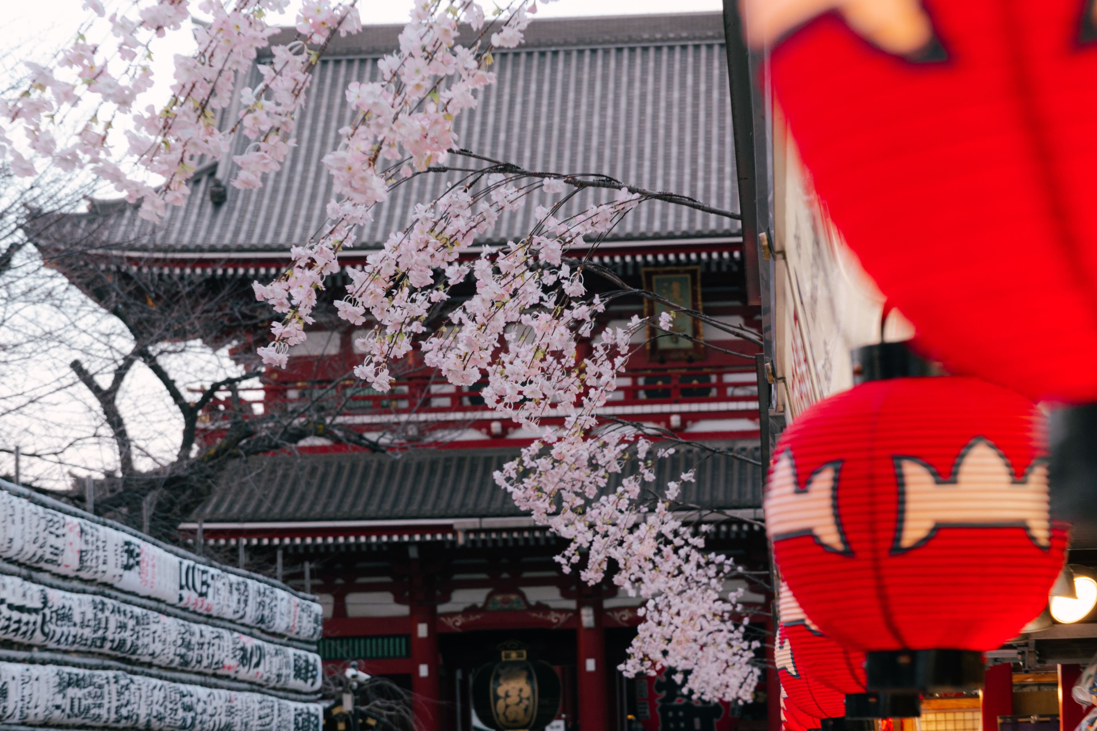 Tokyo