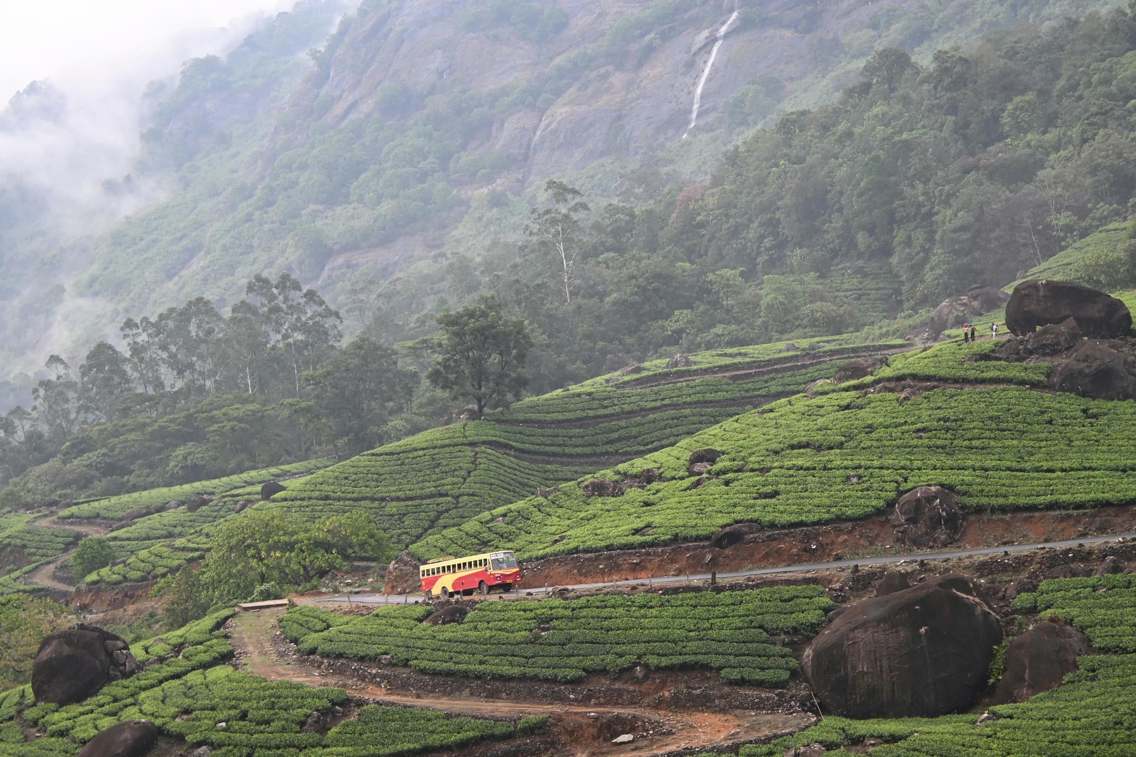 Wayanad