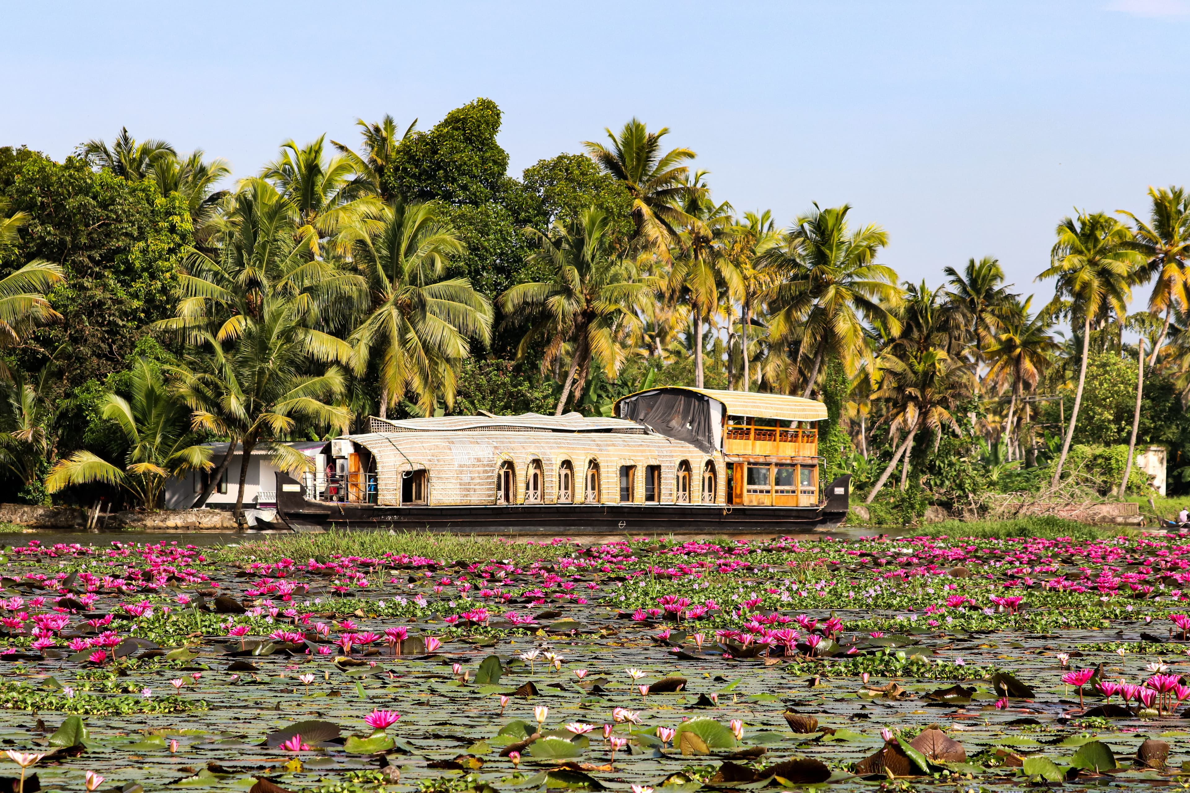 The best photography spots in Kerala