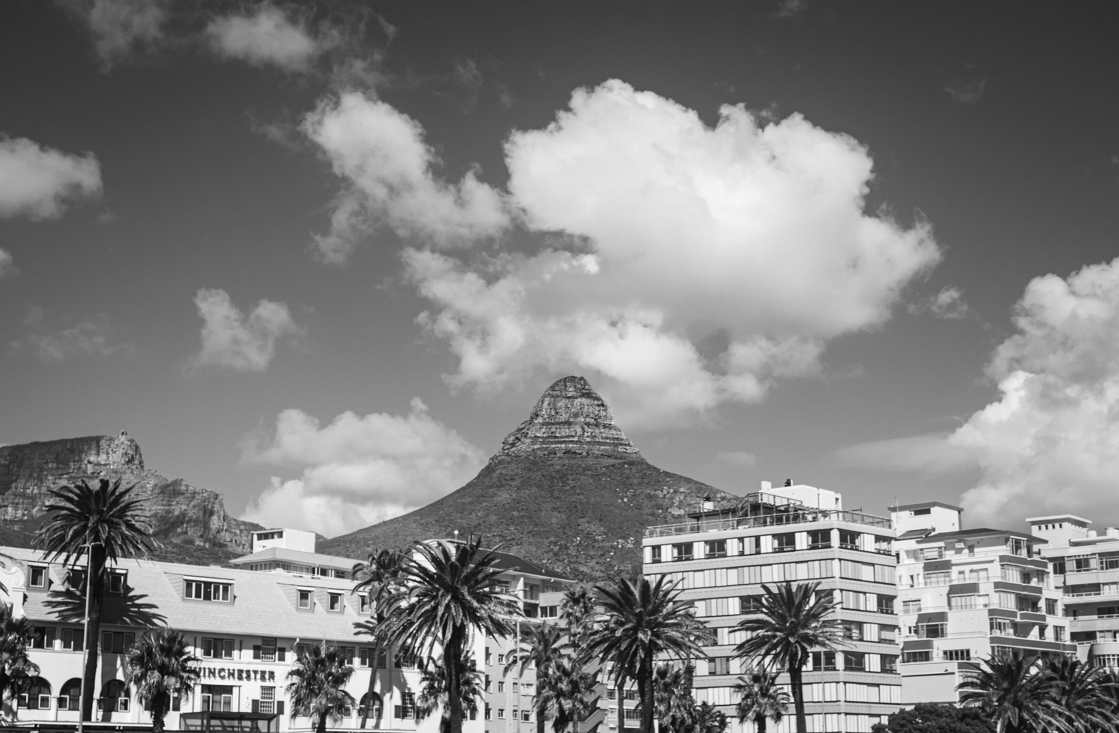Ellerman House 3