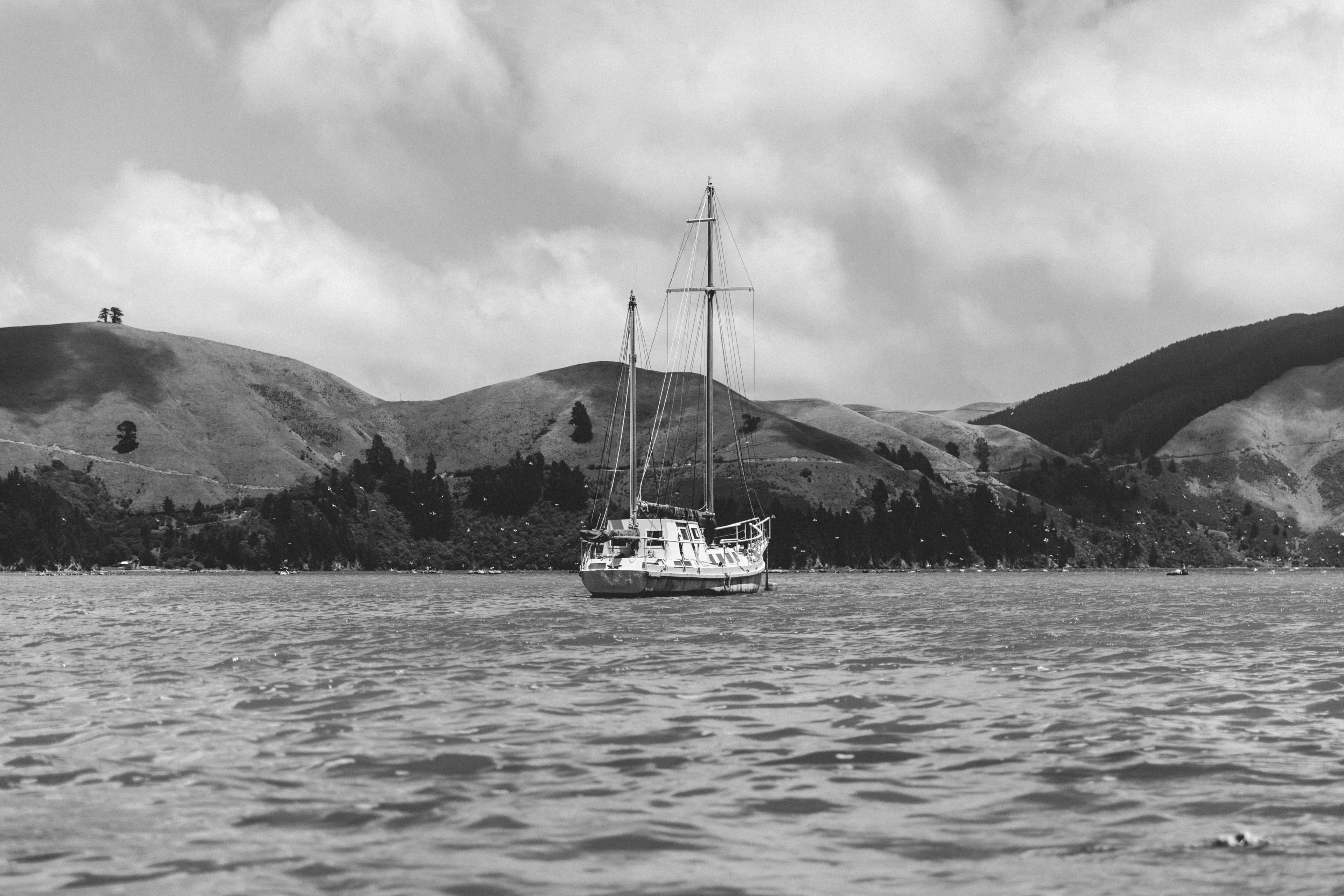 The Remote Resort – Marlborough Sounds 4