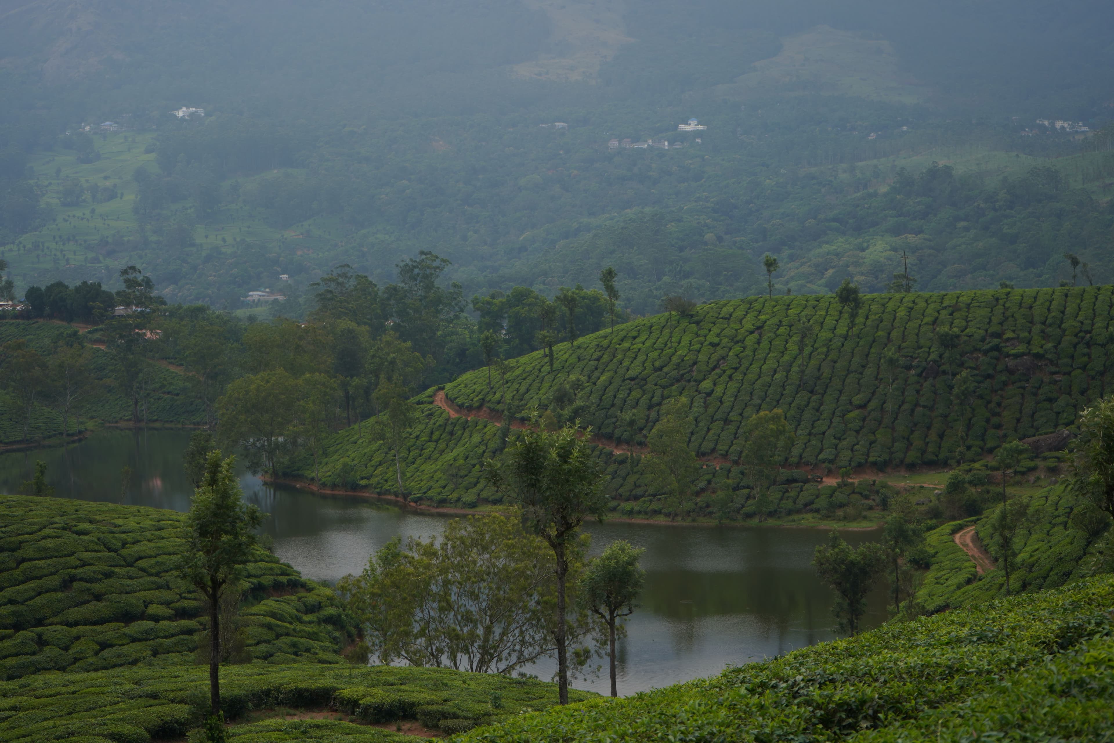 Munnar