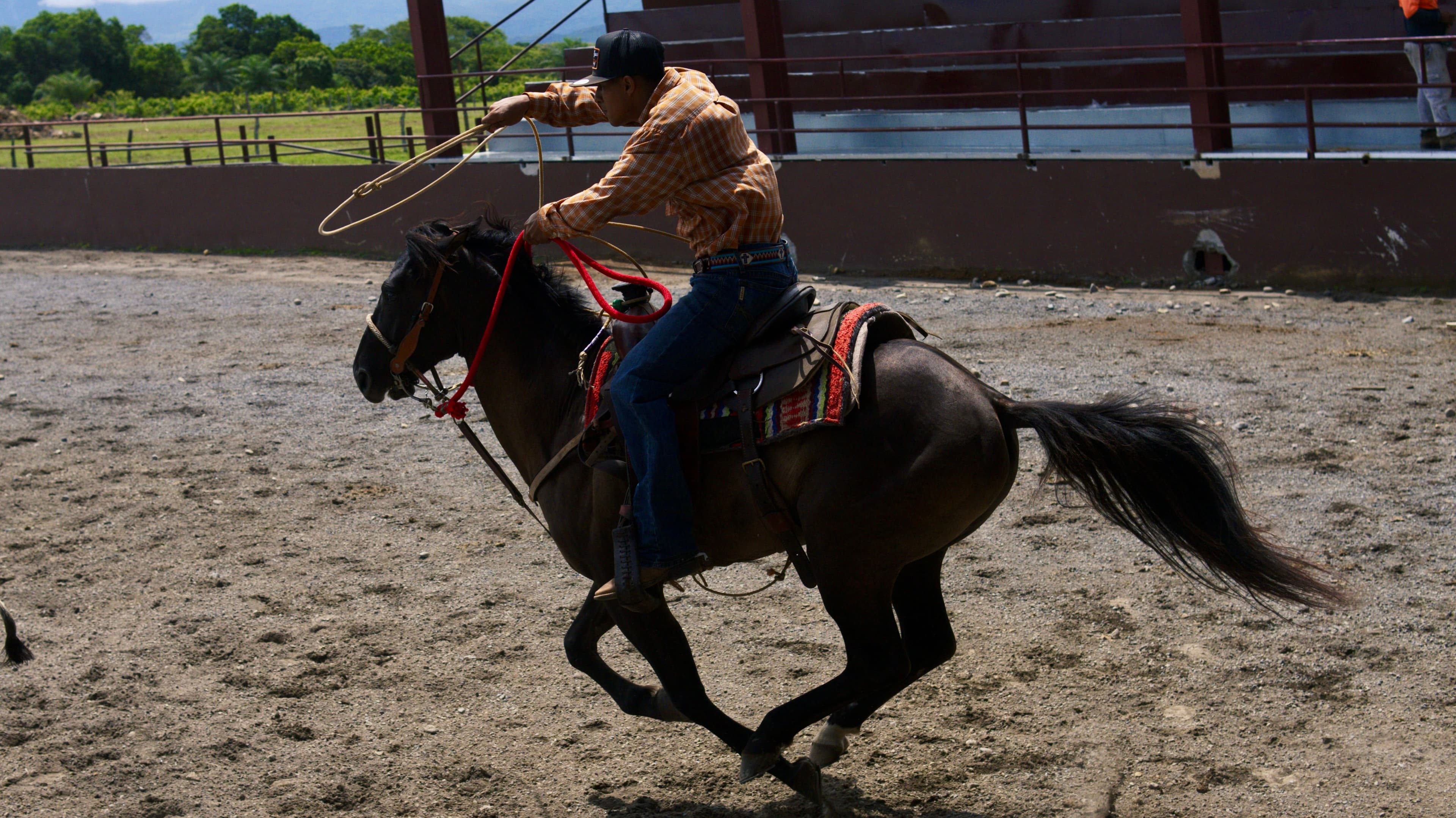 Brush Creek Ranch