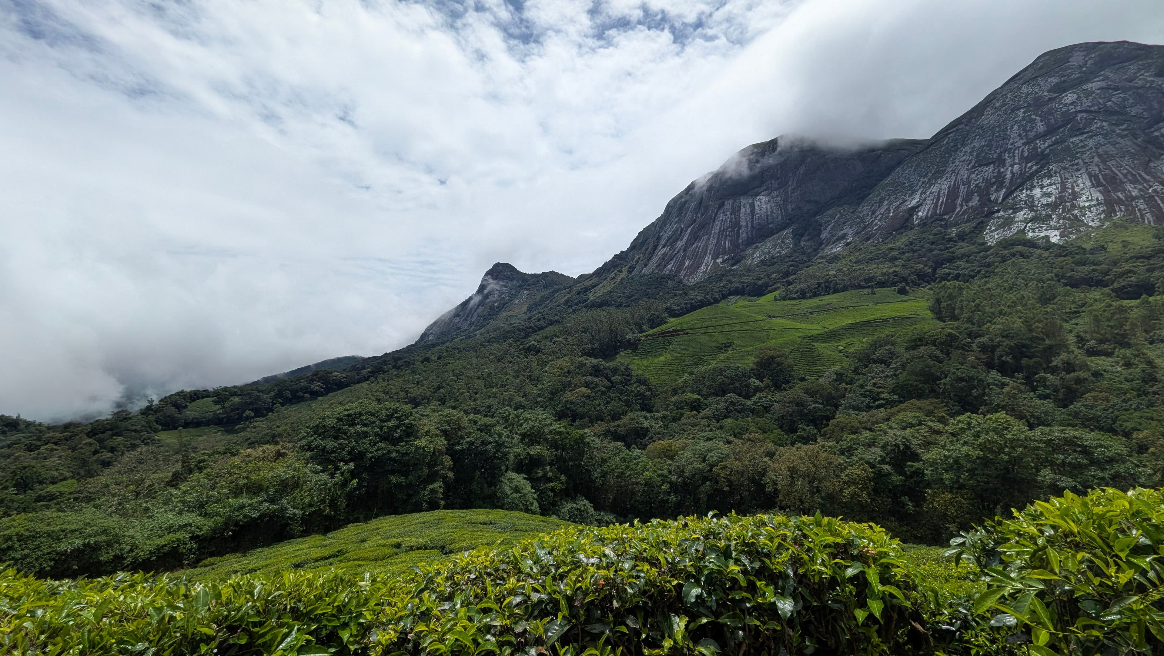 Munnar for solo travellers — everything you need to know