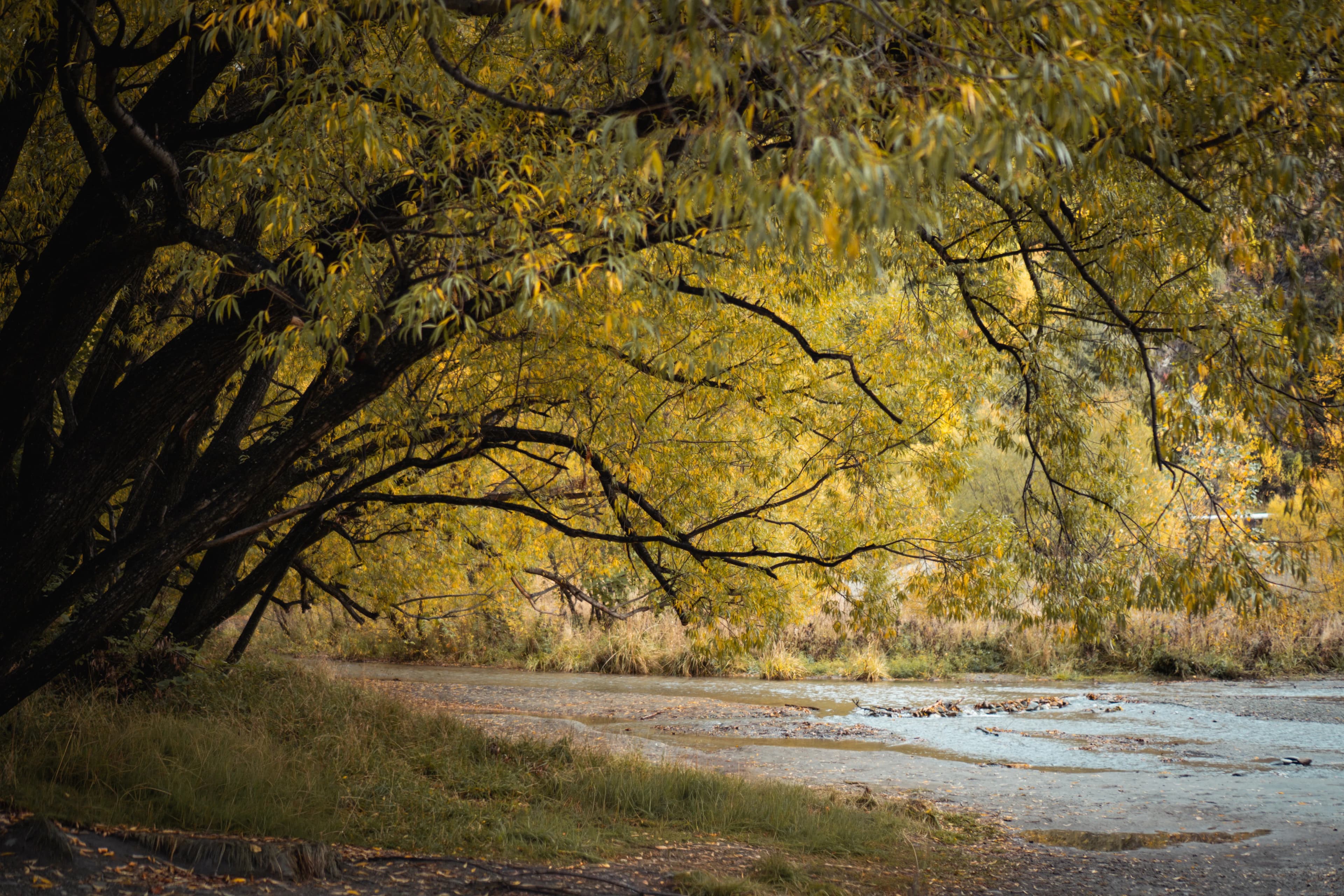 Arrowtown
