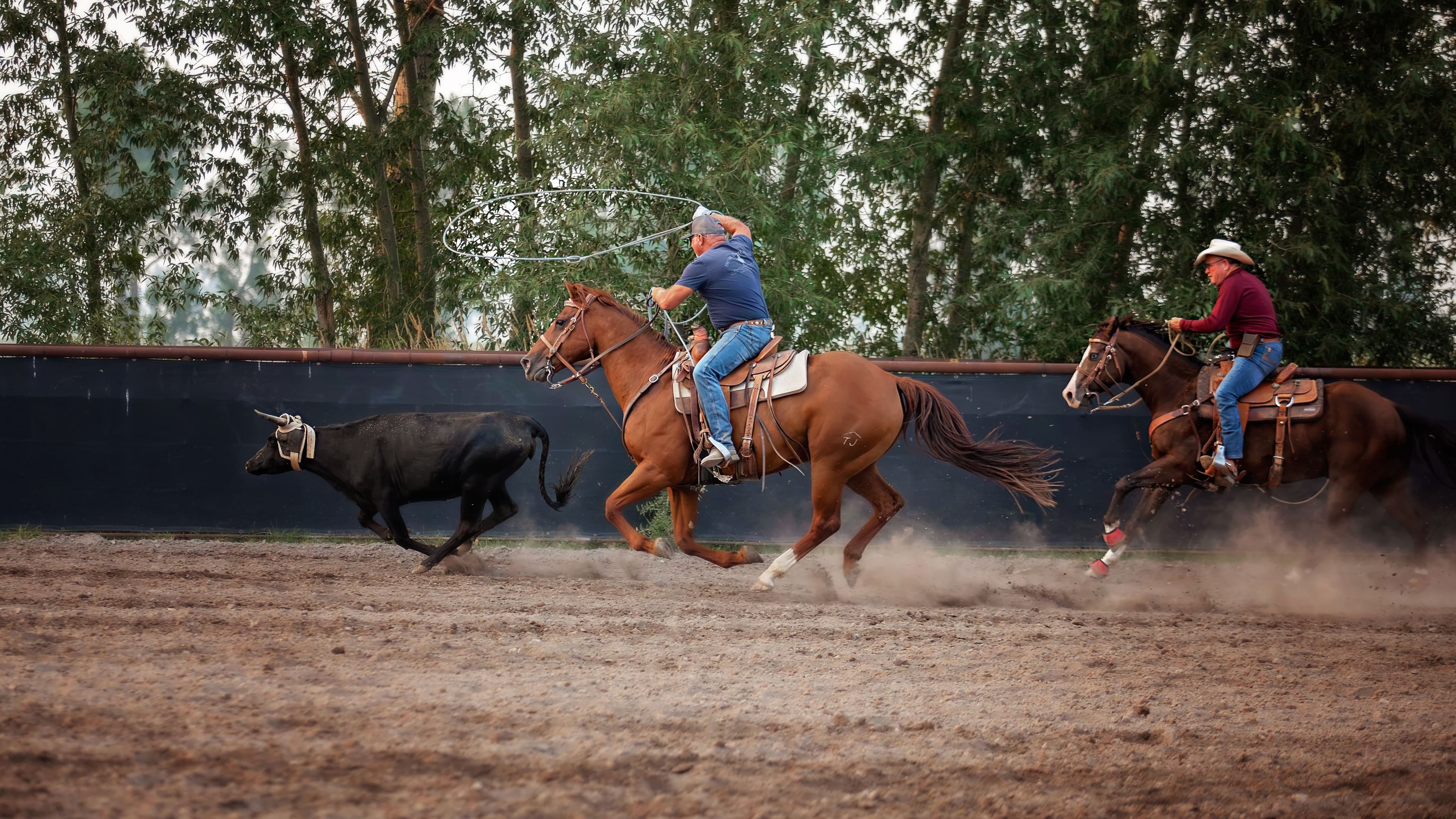Brush Creek Ranch 4