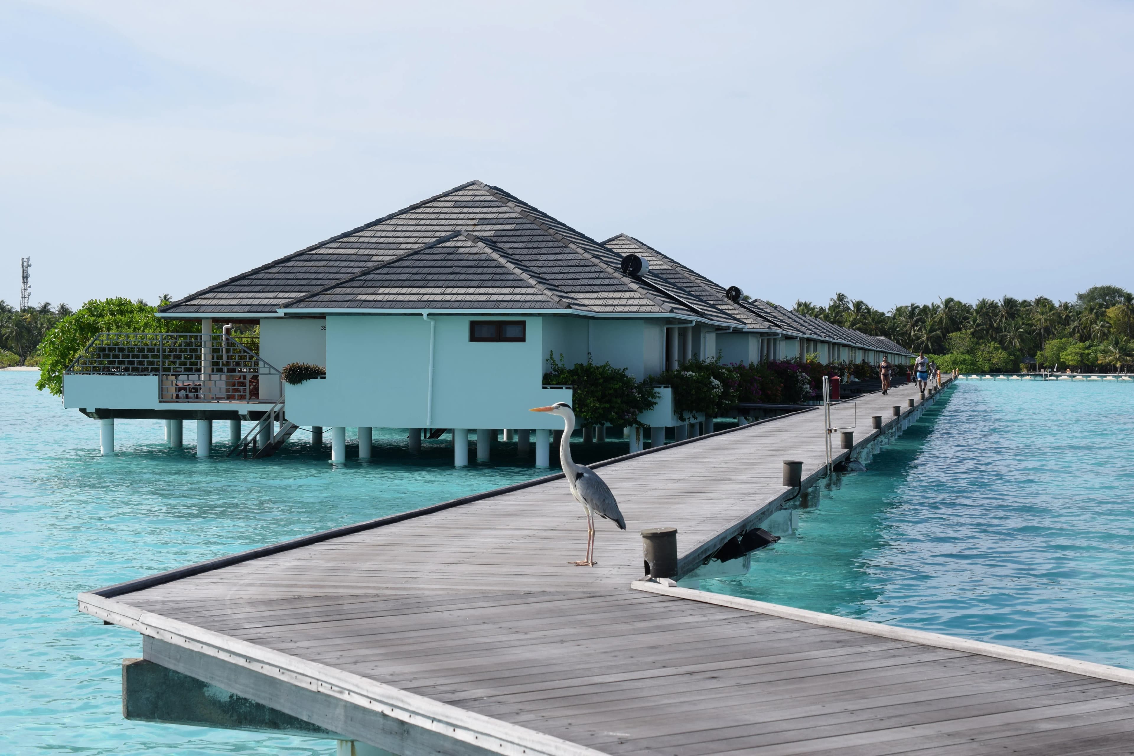 Soneva Fushi