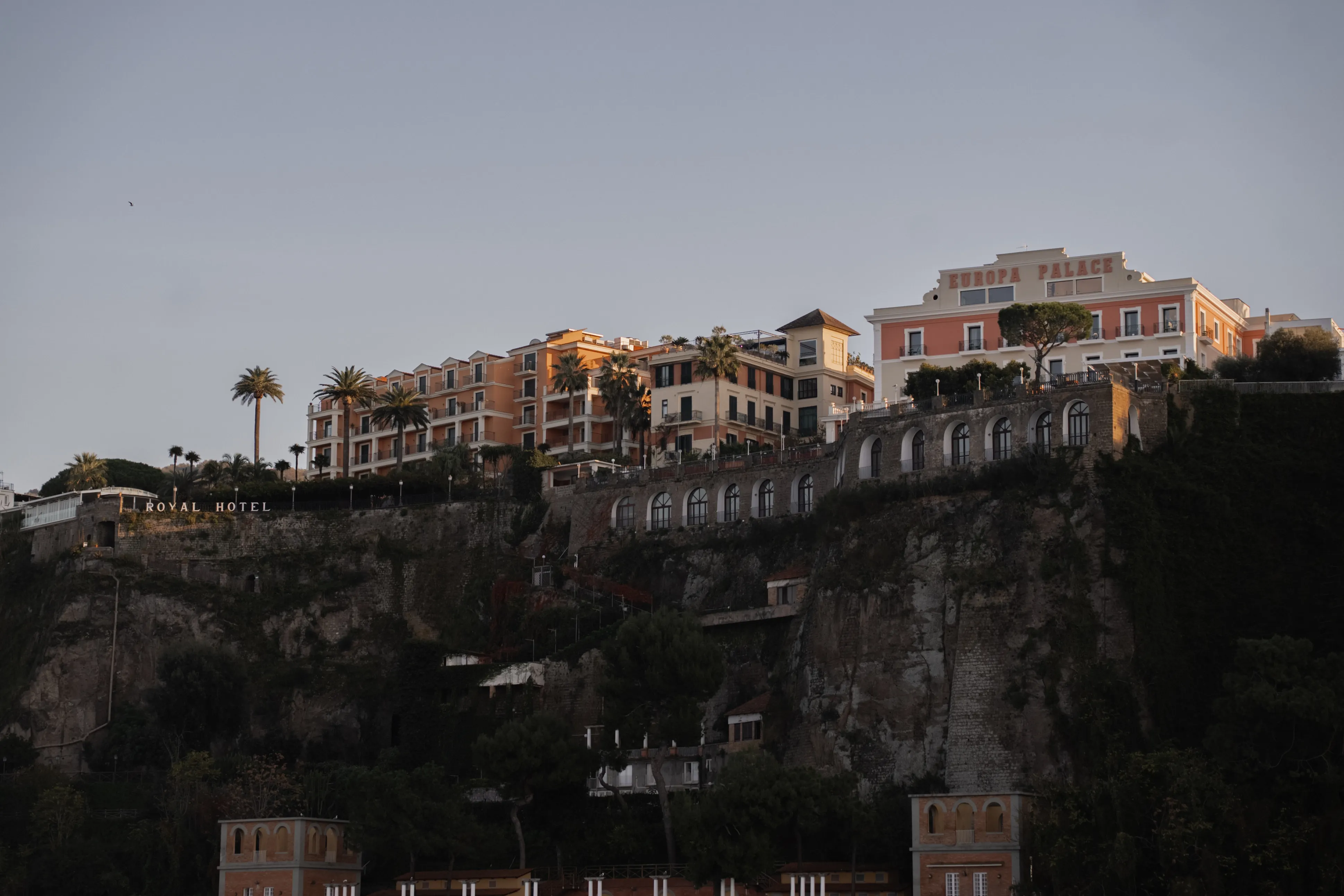 Il Pellicano