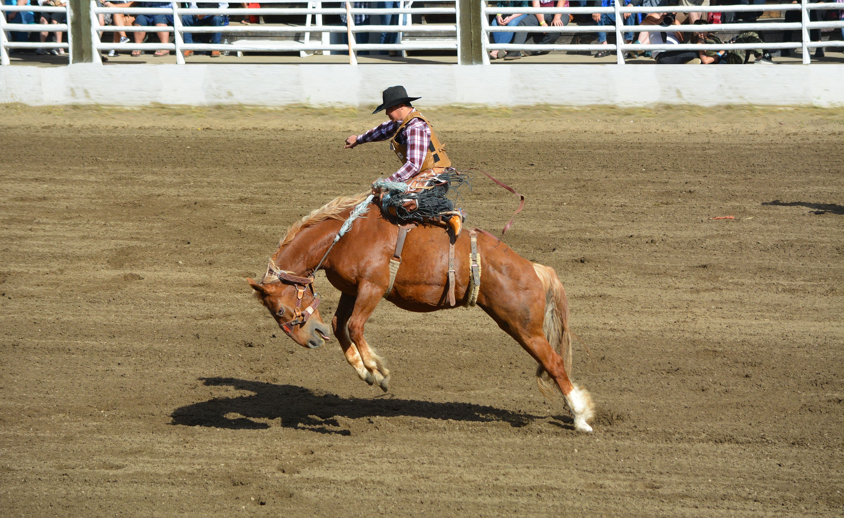 Brush Creek Ranch 3