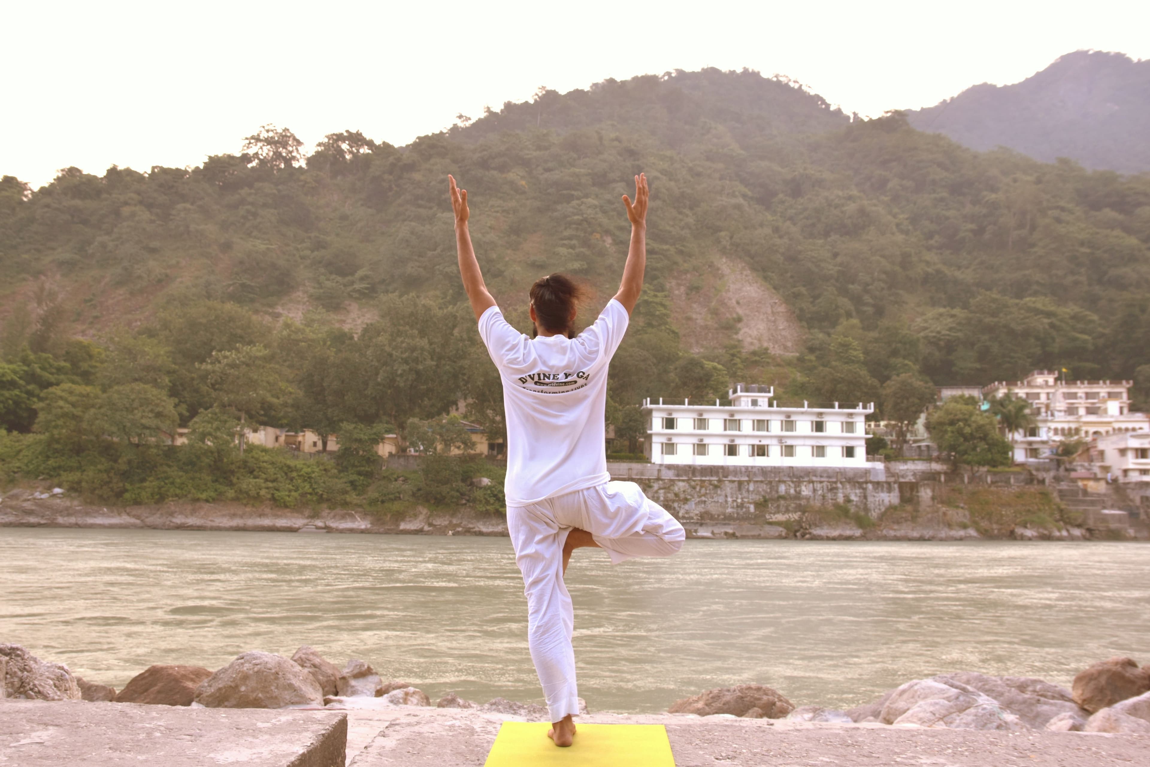 Ananda in the Himalayas