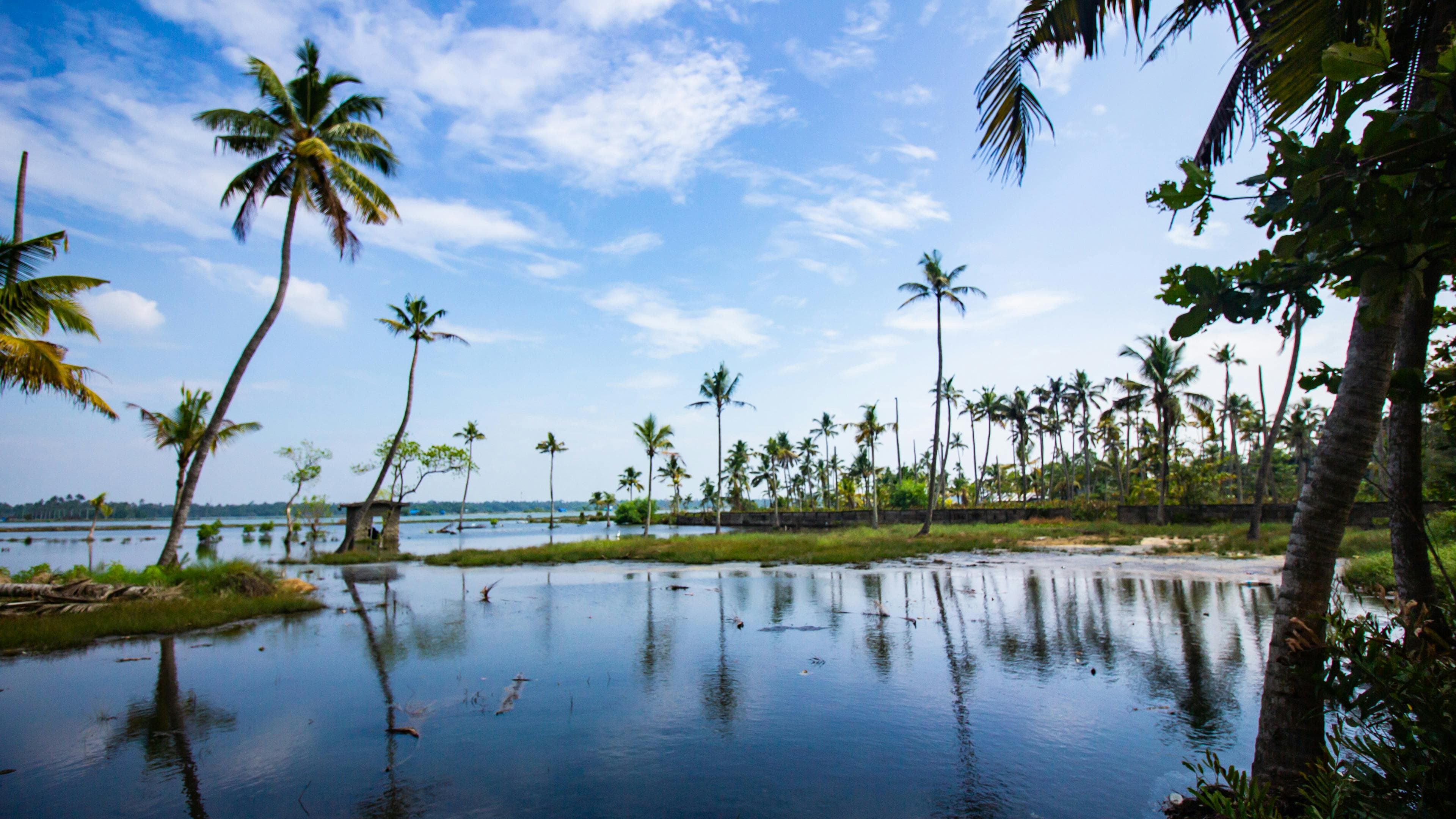 Periyar Wildlife Sanctuary