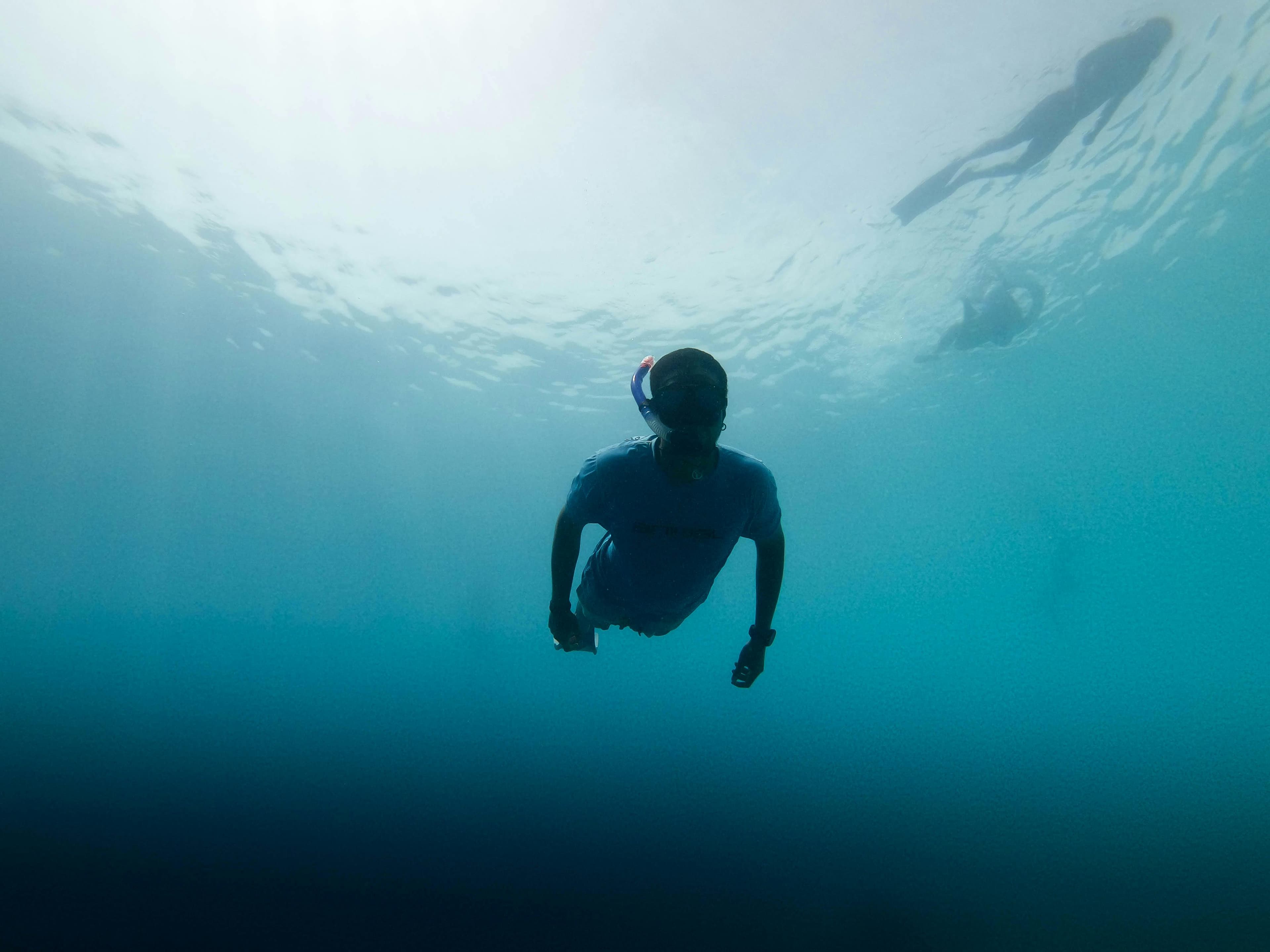 Snorkelling Trip