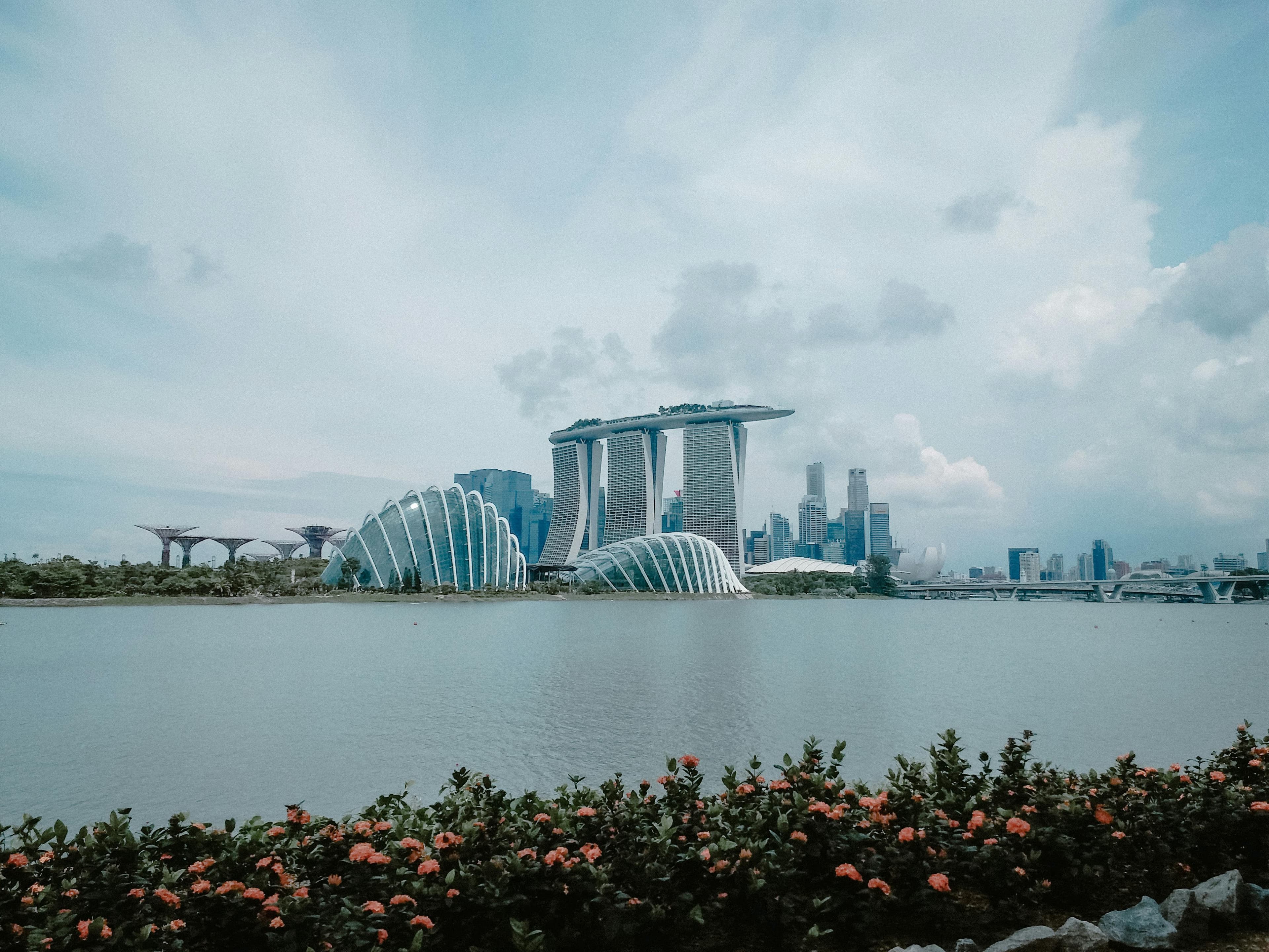 Gardens by the Bay