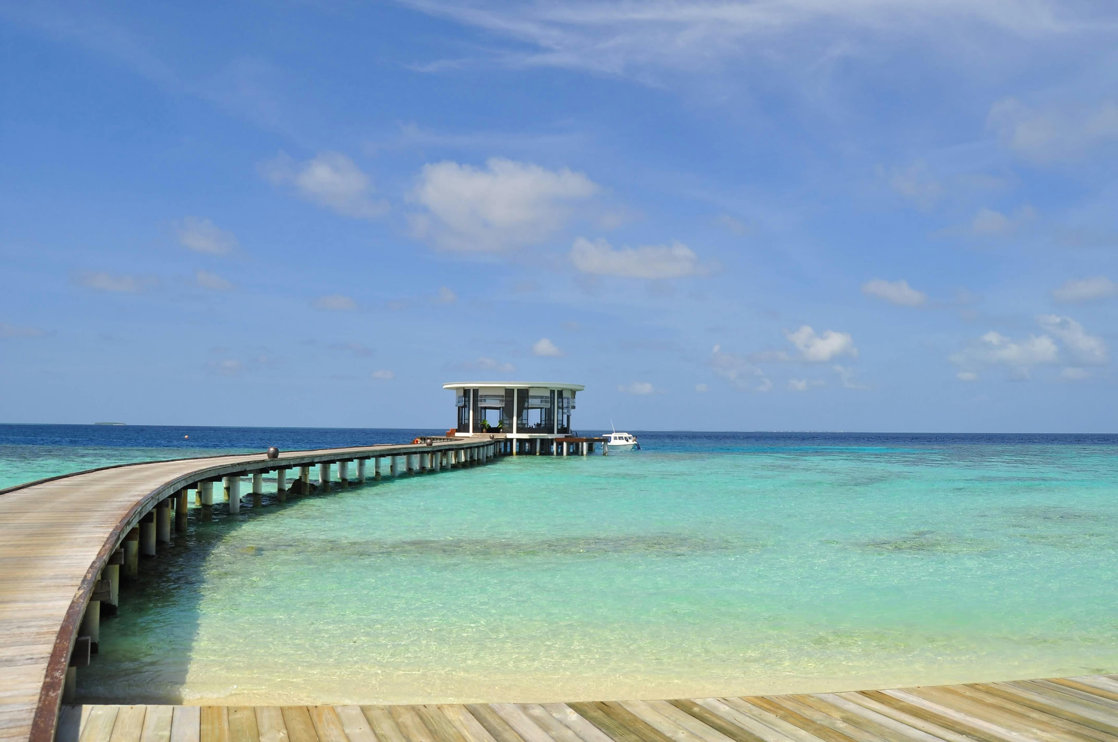 Banana Reef